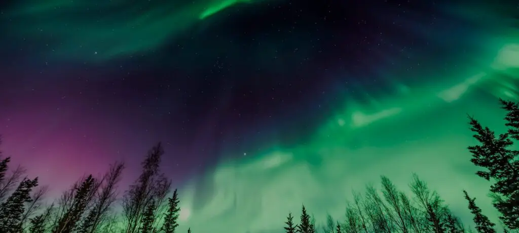 imgi_8_ Northern lights above silhouetted trees at night.